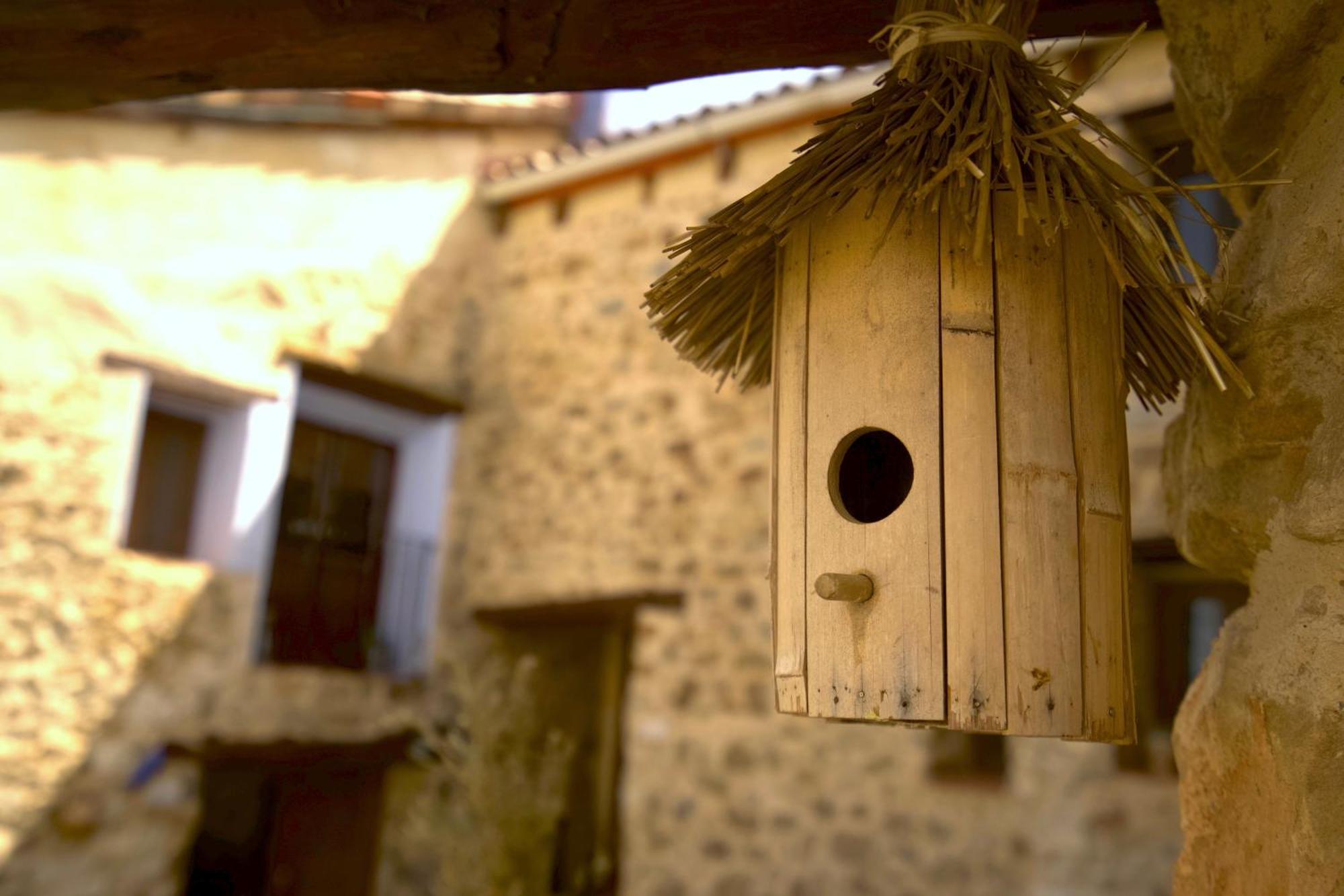 El Cau Dels Somnis La Cuevarruz Exterior foto